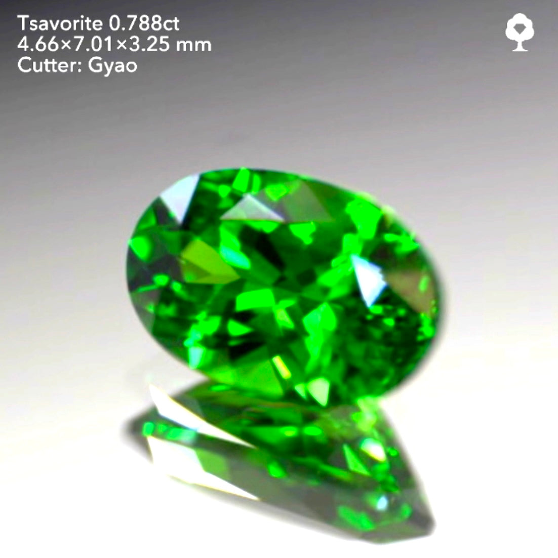余計な説明不要シリーズ“これぞツァボライト”0.788ct✨ゲオちゃん作品💎