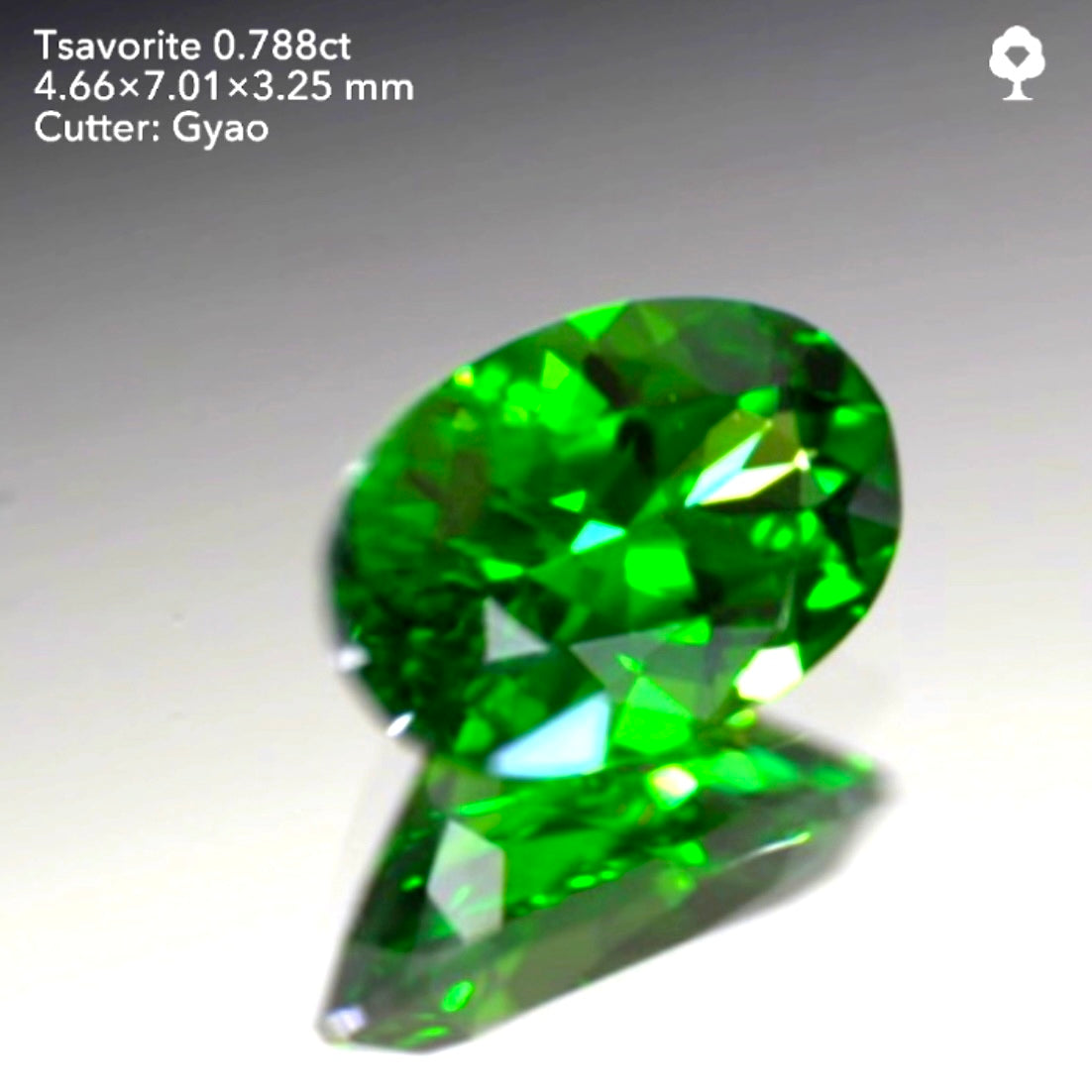 余計な説明不要シリーズ“これぞツァボライト”0.788ct✨ゲオちゃん作品💎