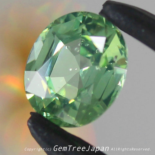 輝く超絶美色✨レイちゃん(枝野)作品💎レアグリーンジルコン0.879ct👍【到着したての興奮特価】冷静さを取り戻し次第、通常価格へ変更😅