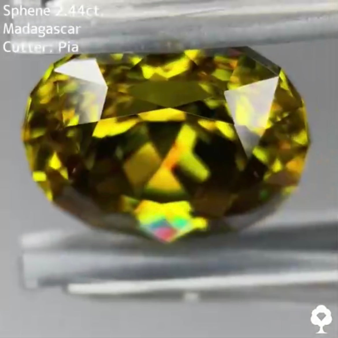 一点の曇りもない恐ろしいほどの輝き★スフェーン 2.44ct ピアッちゃん作品