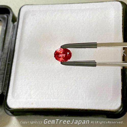 超レアな赤系マラヤガーネット(ウンバライト)1.073ct✨GemTreeLive特別企画💎&リニューアル前SALE🔮 ウンバトリオ3個おまとめ33%OFF❗️3色のマラヤをご紹介🎤サクッとお昼Live配信☀️"GemTreeLive⚡️"