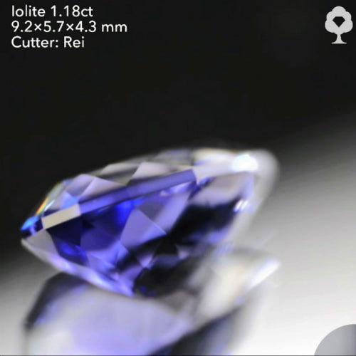 ファンシーペアシェイプから放たれる正統派の色と輝き✨アイオライト1.18ct💎レイちゃん作品