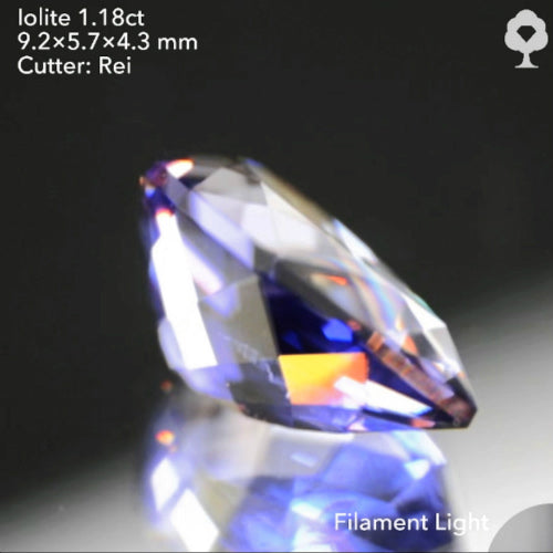 ファンシーペアシェイプから放たれる正統派の色と輝き✨アイオライト1.18ct💎レイちゃん作品