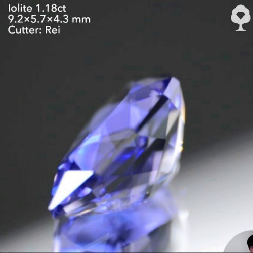 ファンシーペアシェイプから放たれる正統派の色と輝き✨アイオライト1.18ct💎レイちゃん作品