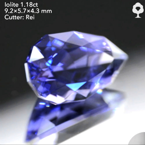 ファンシーペアシェイプから放たれる正統派の色と輝き✨アイオライト1.18ct💎レイちゃん作品