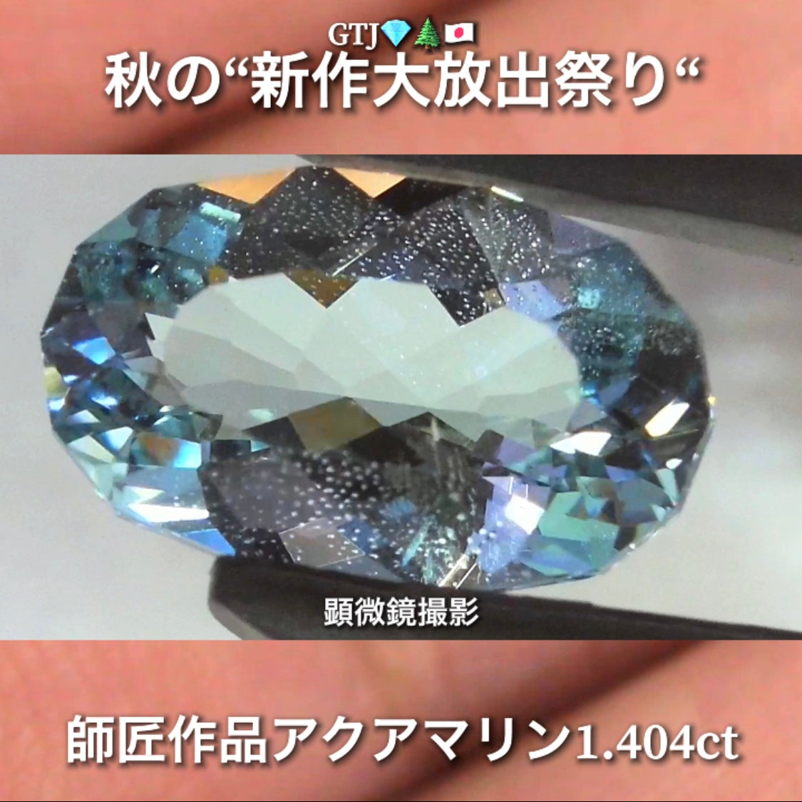 お家時間を楽しく“オークションDAY”💎続いては師匠作品レアな美色ベリル1.404ct✨秋の“新作大放出祭り🍁”今回も時短versionでの開催です❗️ 本日「21時00分終了」となります⏰