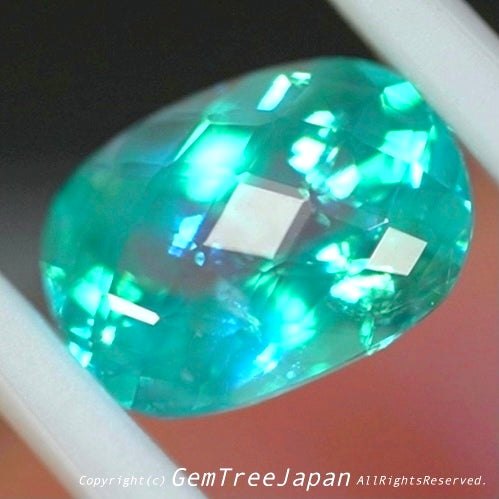 レイちゃんの例のカット(面縁取り)✨素晴らしいネオンを放つアパタイト1.826ct💎
