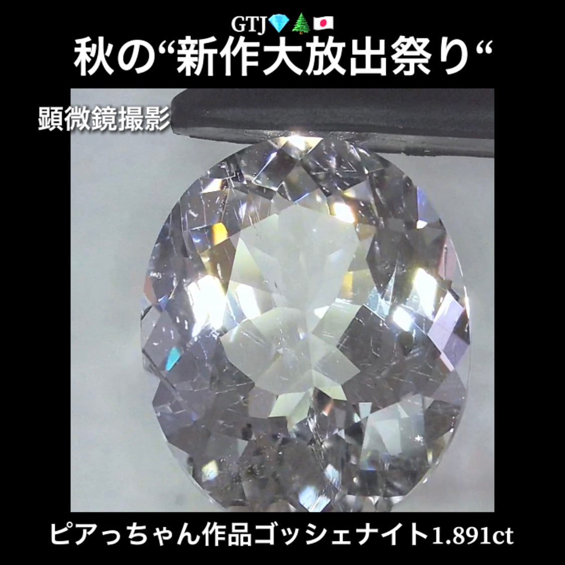 混じりっけなし!ゴッシェナイト1.891ct💎『カラーレス』特集✨あえて色のないピュアでキラキラの輝きをご堪能ください🔮秋の“新作大放出祭り🍁”でご紹介で〜す👍