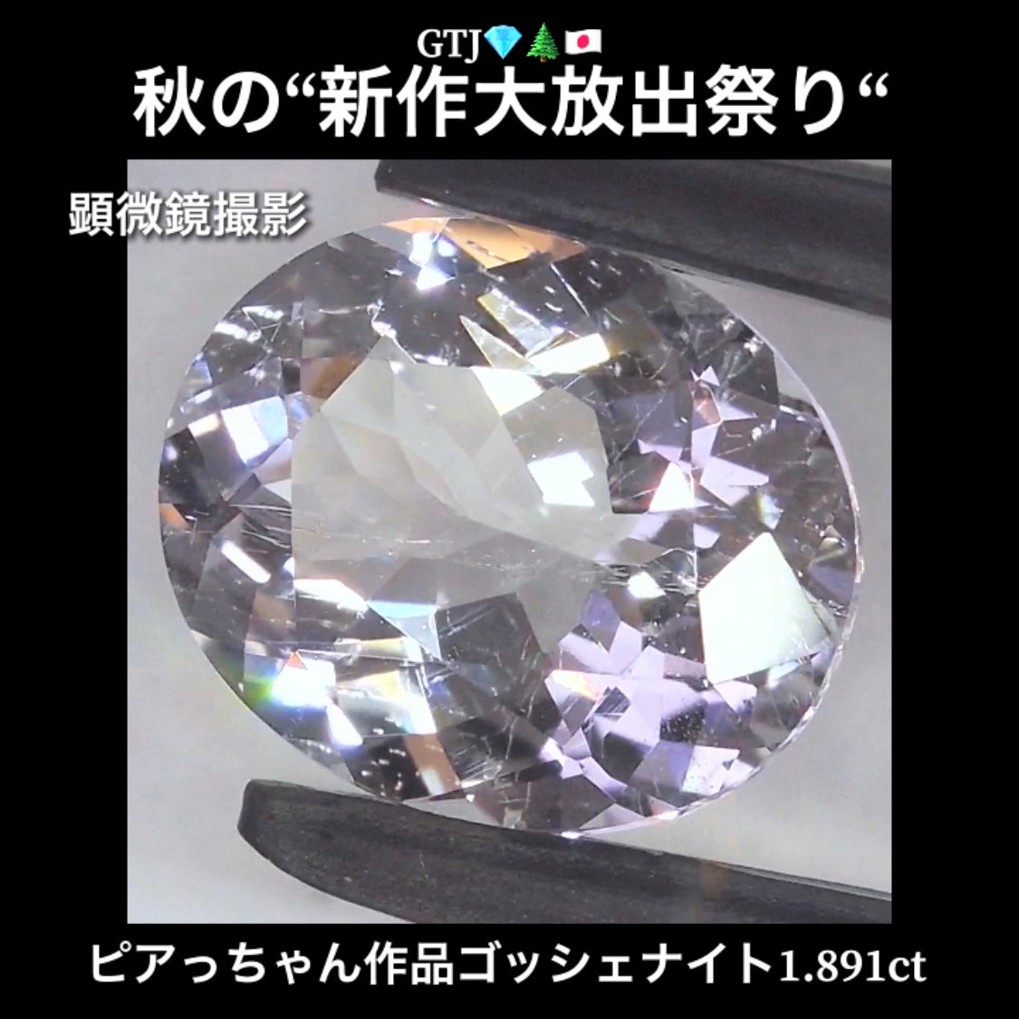 混じりっけなし!ゴッシェナイト1.891ct💎『カラーレス』特集✨あえて色のないピュアでキラキラの輝きをご堪能ください🔮秋の“新作大放出祭り🍁”でご紹介で〜す👍