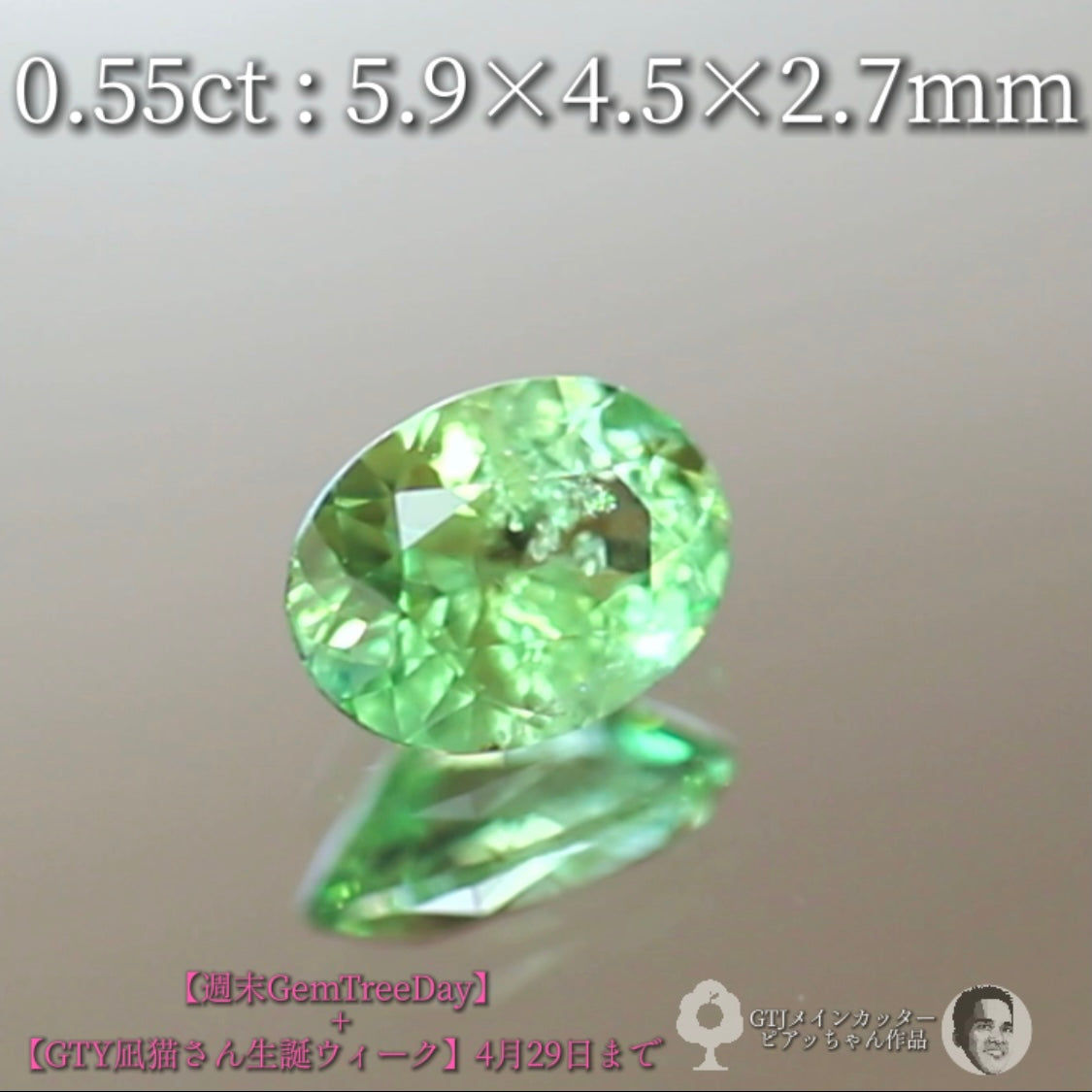見事な艶&テリ✨グリーンガーネット0.55ct