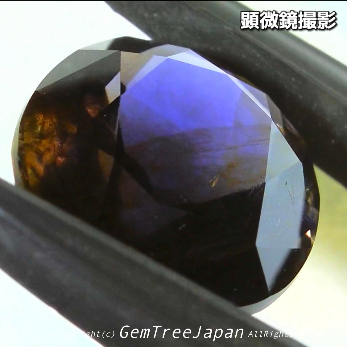 これぞアイオライトの面白さ😄こちらは2.50ct✨“青”特集 & “緑”特集 番外編❗半端ない多色感️👍