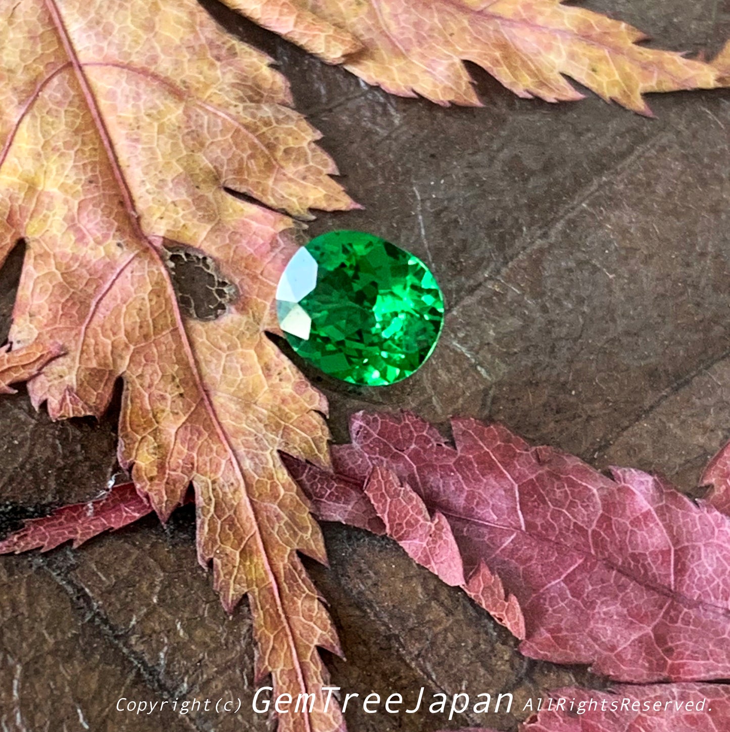 カナリ貴重なこのネオン感❗️ツァボライト(グリーンガーネット) 0.842ct✨11/17お昼Live配信商品⚡️ゲオちゃん作品💎
