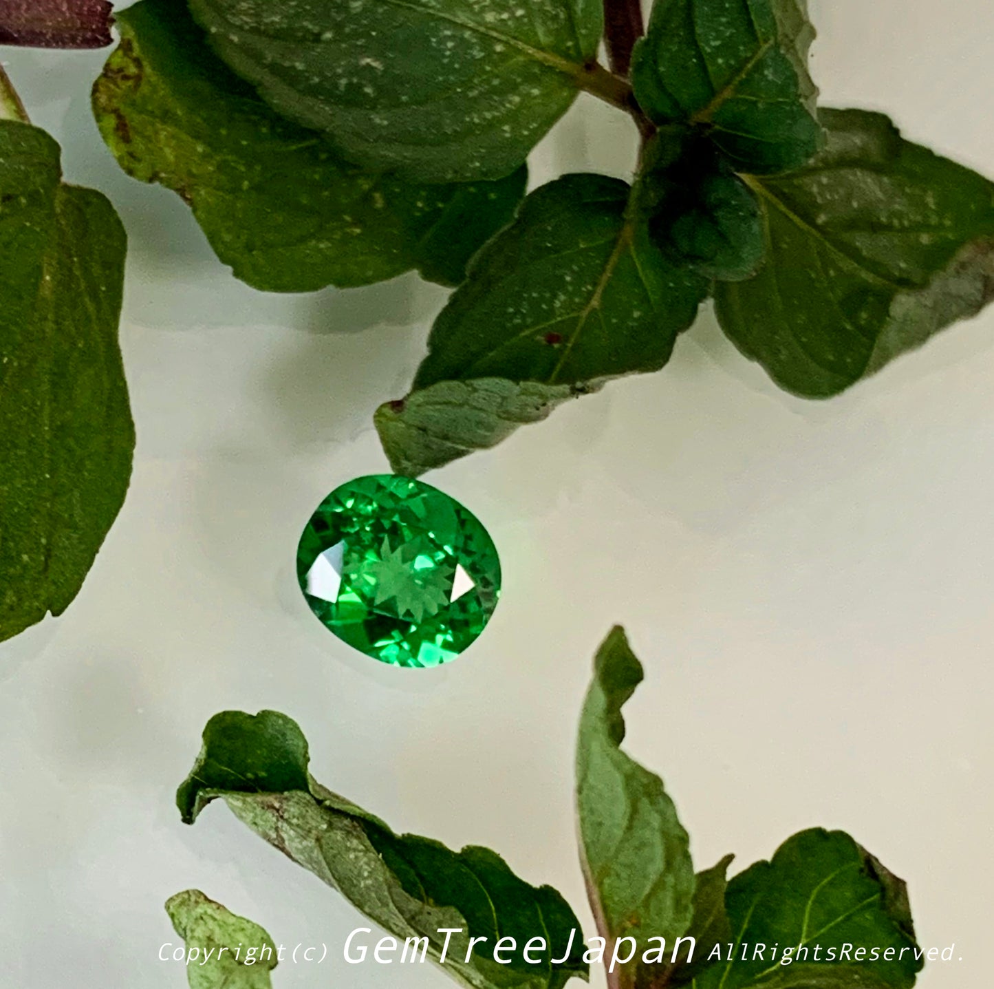 カナリ貴重なこのネオン感❗️ツァボライト(グリーンガーネット) 0.842ct✨11/17お昼Live配信商品⚡️ゲオちゃん作品💎