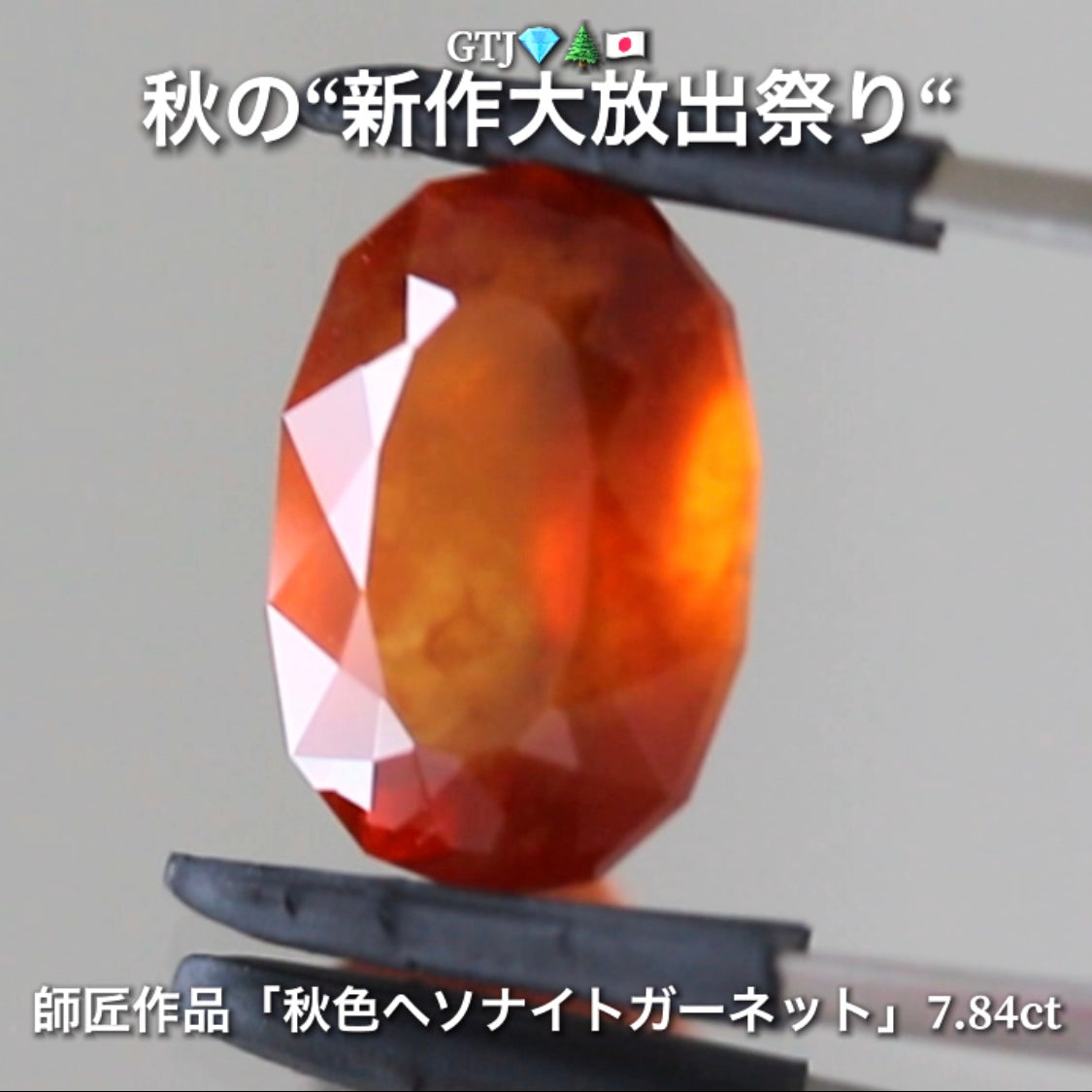 出た〜師匠作品❗️これぞ秋色💎大粒ヘソナイトガーネット7.84ct✨さすが師匠😍季節感満載の“趣”を楽しめる作品です♬秋の“新作大放祭り🍁”+超時短Auctionでご紹介❗️こちらは本日「18時18分終了」となります⏰