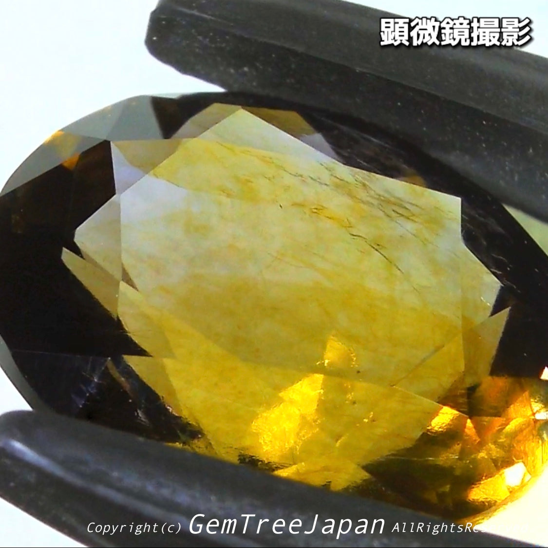 これぞアイオライトの面白さ😄こちらは2.50ct✨“青”特集 & “緑”特集 番外編❗半端ない多色感️👍