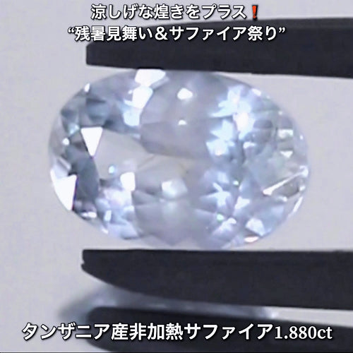 氷のような煌き1.880ctタンザニア産非加熱サファイア💎“涼しげな煌き”をプラスした“サファイア祭り”✨魅力的な即決価格を付けてオークションでご紹介❗️こちらは本日「22時15分終了」となります⏰