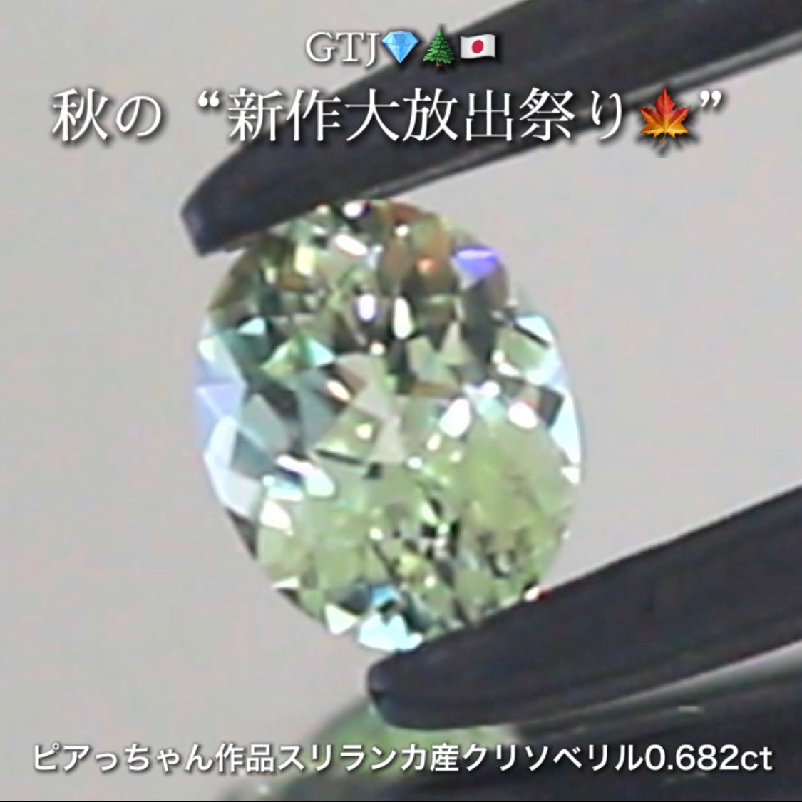 バナジウムクリソベリル0.682ct✨ピアっちゃん作品👌GTJ💎🌲🇯🇵秋の“新作大放出祭り🍁”期間中は特にお得な価格でご紹介します❗️