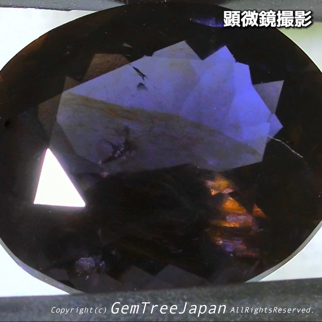 これぞアイオライトの面白さ😄こちらは2.50ct✨“青”特集 & “緑”特集 番外編❗半端ない多色感️👍