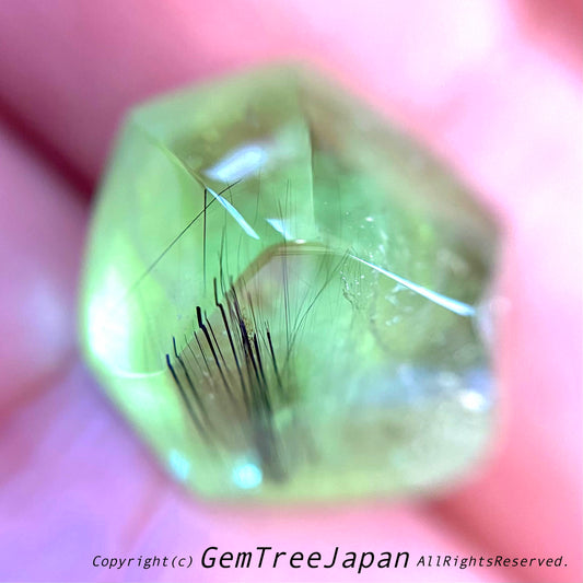 “進化形カット”パキスタンペリドット16.80ct🔮吉村作品(ゲオ先生監修)