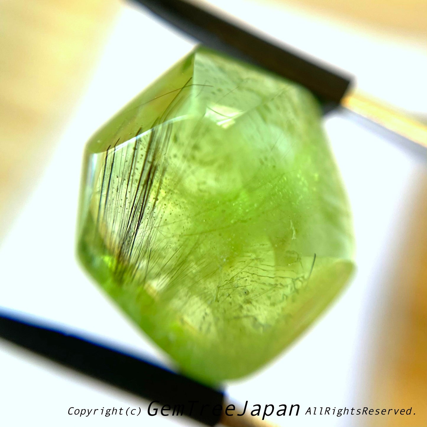 “進化形カット”パキスタンペリドット16.80ct🔮吉村作品(ゲオ先生監修)