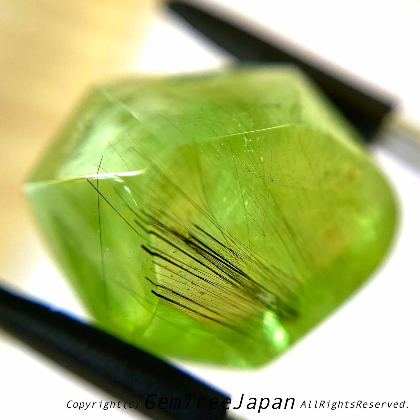 “進化形カット”パキスタンペリドット16.80ct🔮吉村作品(ゲオ先生監修)
