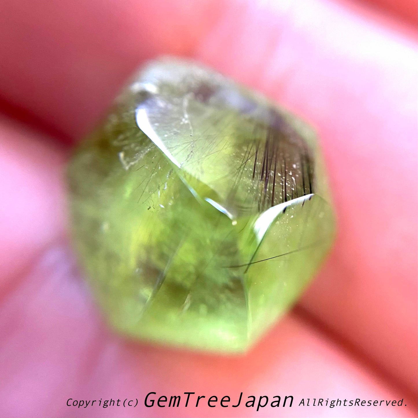 “進化形カット”パキスタンペリドット16.80ct🔮吉村作品(ゲオ先生監修)