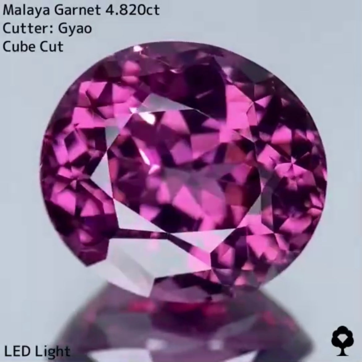 美色・品質・大きさ・カットの4拍子揃った傑作★マラヤガーネット 4.820ct