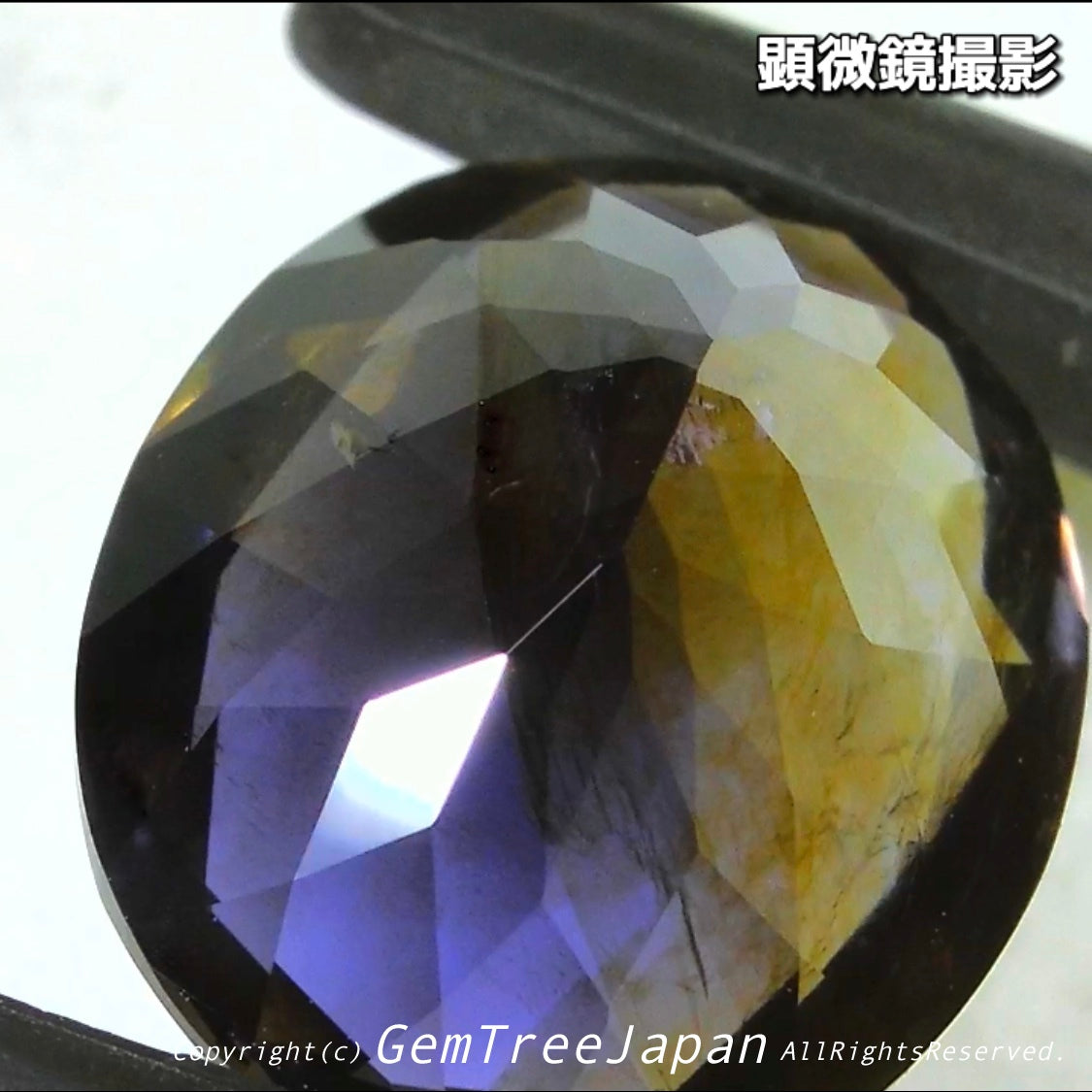 これぞアイオライトの面白さ😄こちらは2.50ct✨“青”特集 & “緑”特集 番外編❗半端ない多色感️👍