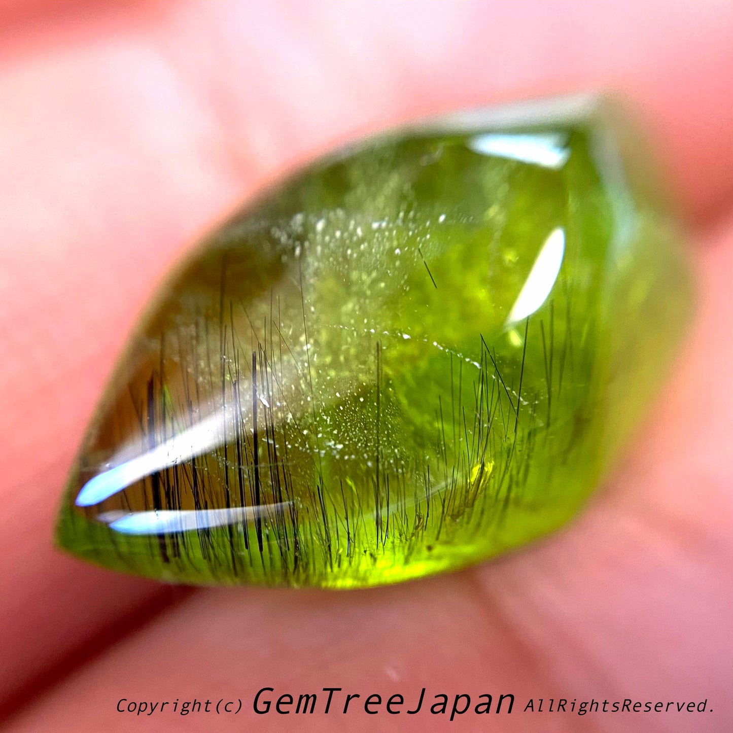 “進化形カット”パキスタンペリドット19.42ct🔮吉村作品(ゲオ先生監修)