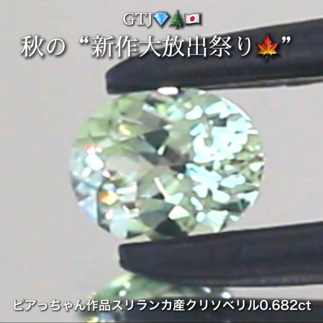 バナジウムクリソベリル0.682ct✨ピアっちゃん作品👌GTJ💎🌲🇯🇵秋の“新作大放出祭り🍁”期間中は特にお得な価格でご紹介します❗️
