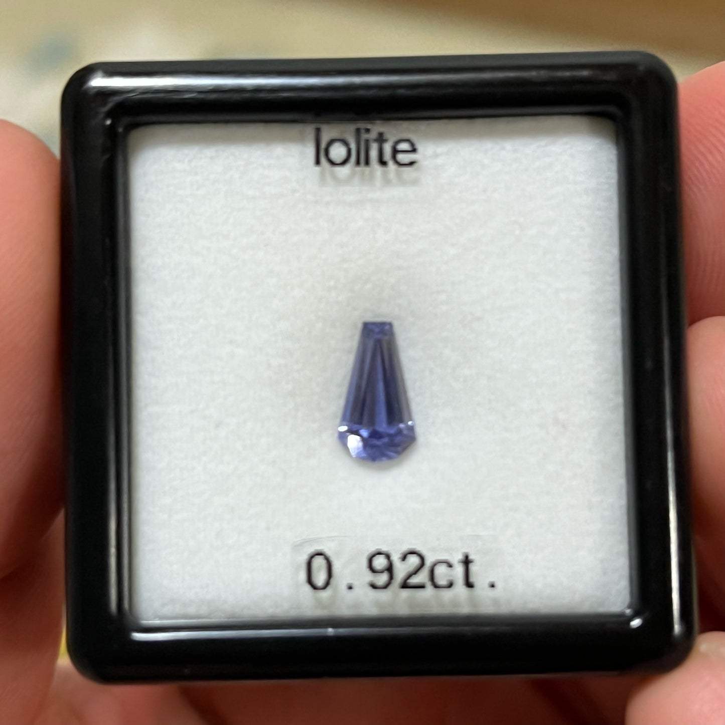 【お客さま専用】アイオライト 0.92 ct ファンシーカット ピアっちゃん作品 ユサコレ放出★5ZBご利用価格