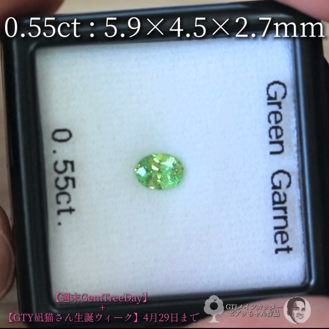 見事な艶&テリ✨グリーンガーネット0.55ct