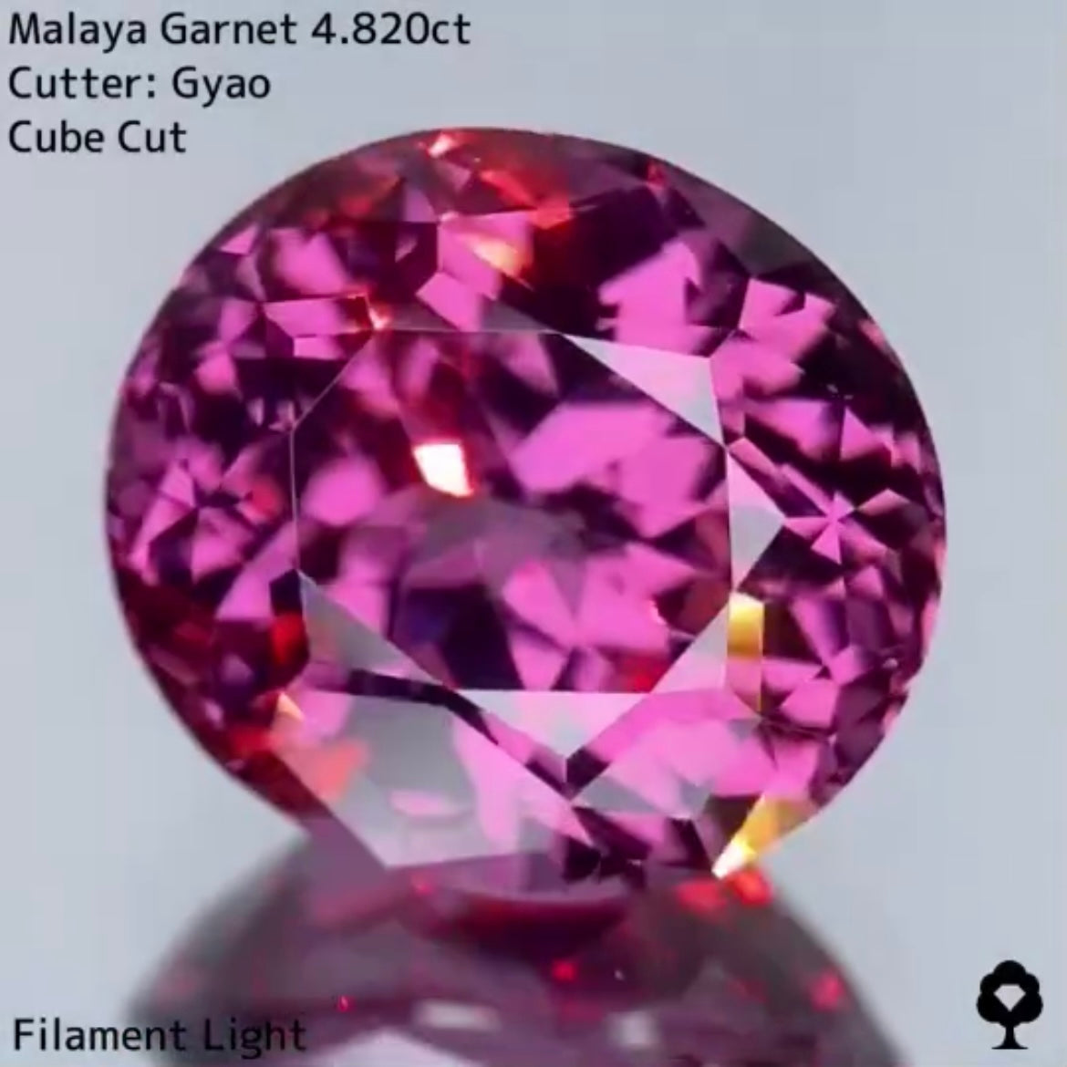 美色・品質・大きさ・カットの4拍子揃った傑作★マラヤガーネット 4.820ct