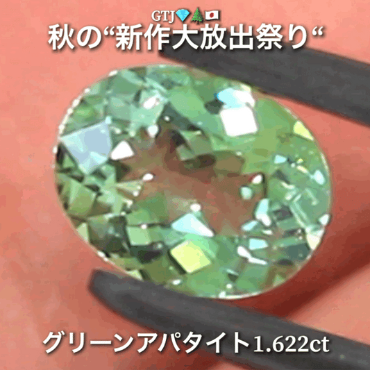 続いてはグリーンアパタイト1.622ct登場✨キラキラファイアーをまとった綺麗な煌き💎秋の“新作大放出祭り🍁”でご紹介で〜す👍