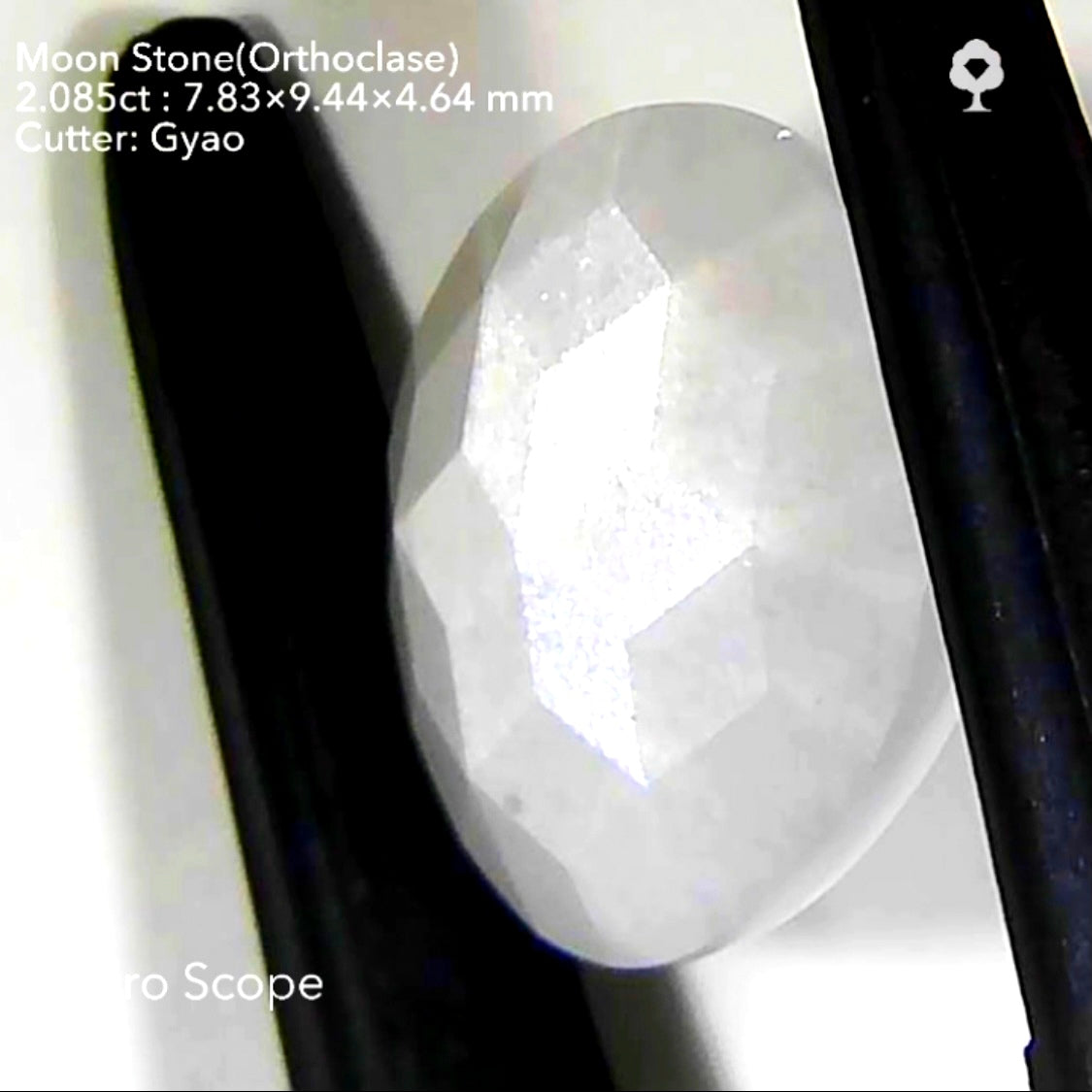【SOLD OUT】アクアマリン12.672ct💎 & ムーンストーン2.085ct🔮傑作2作品