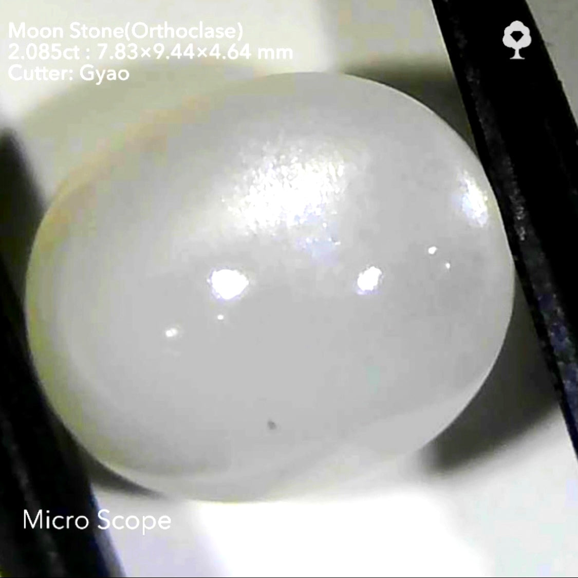【SOLD OUT】アクアマリン12.672ct💎 & ムーンストーン2.085ct🔮傑作2作品