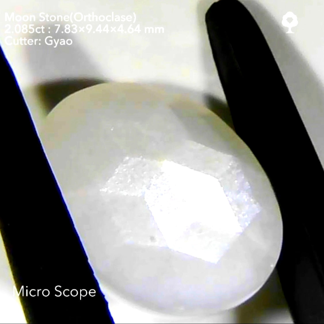 【SOLD OUT】アクアマリン12.672ct💎 & ムーンストーン2.085ct🔮傑作2作品
