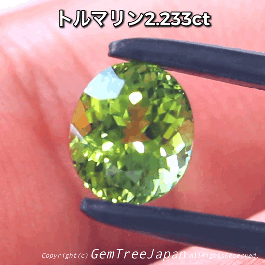 “ピアっちゃん作品”✨美色グリーントルマリン2.233ct♫【到着したての興奮特価】冷静さを取り戻し次第、通常価格へ変更😅