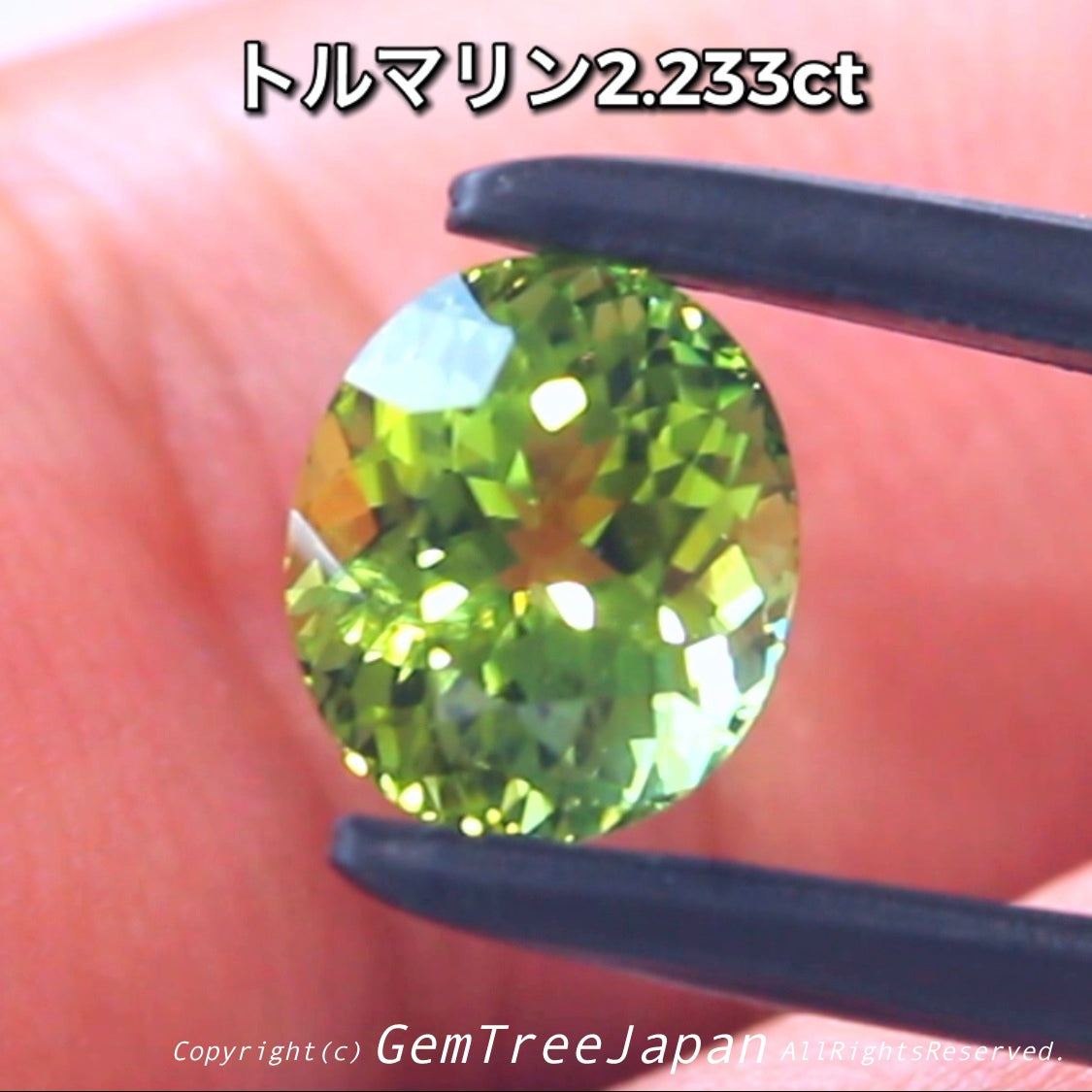 “ピアっちゃん作品”✨美色グリーントルマリン2.233ct♫【到着したての興奮特価】冷静さを取り戻し次第、通常価格へ変更😅