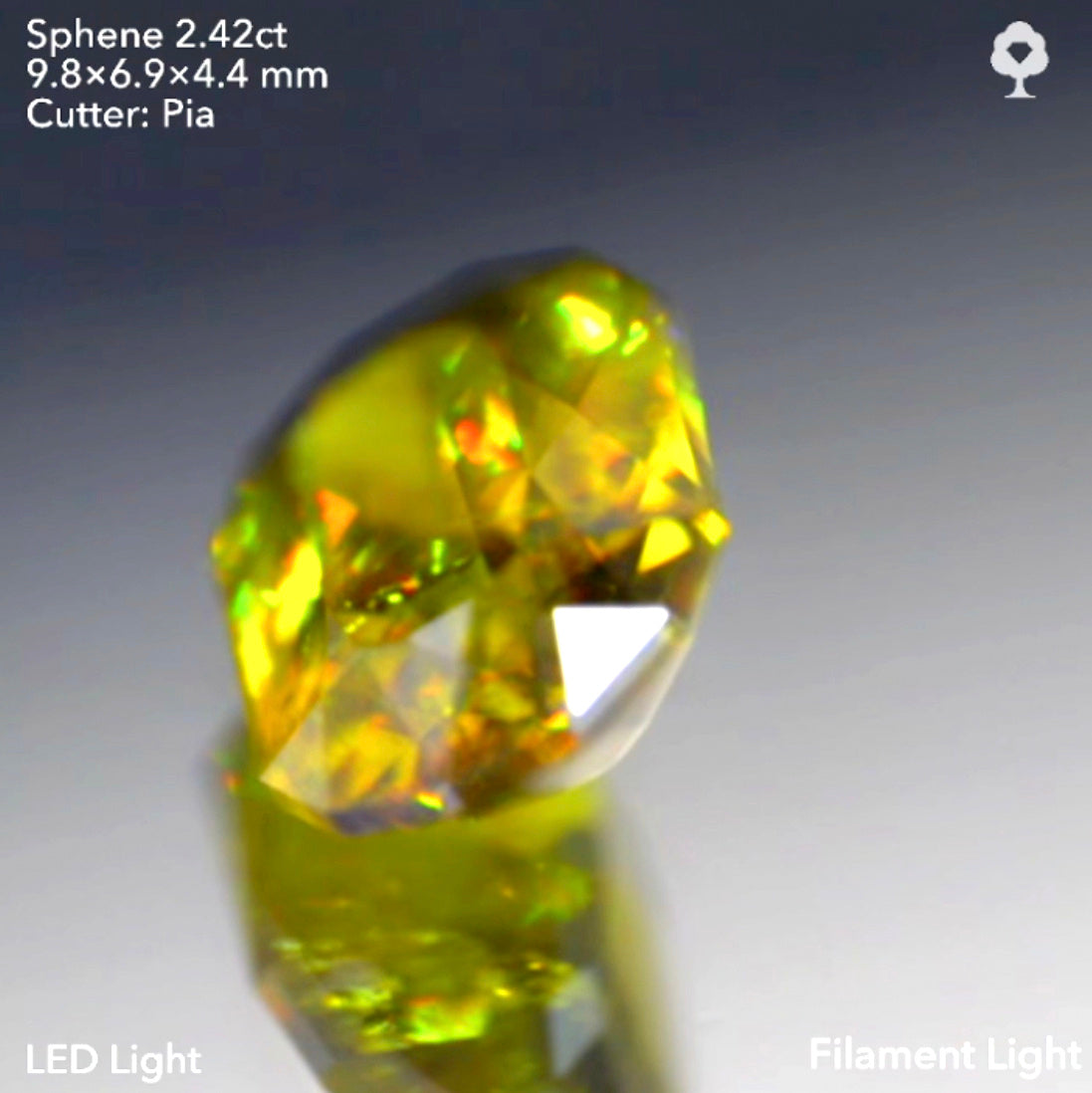双晶ライン入り❣️マダガスカル産スフェーン2.42ct★ピアッちゃん作品【9/18ライブ】