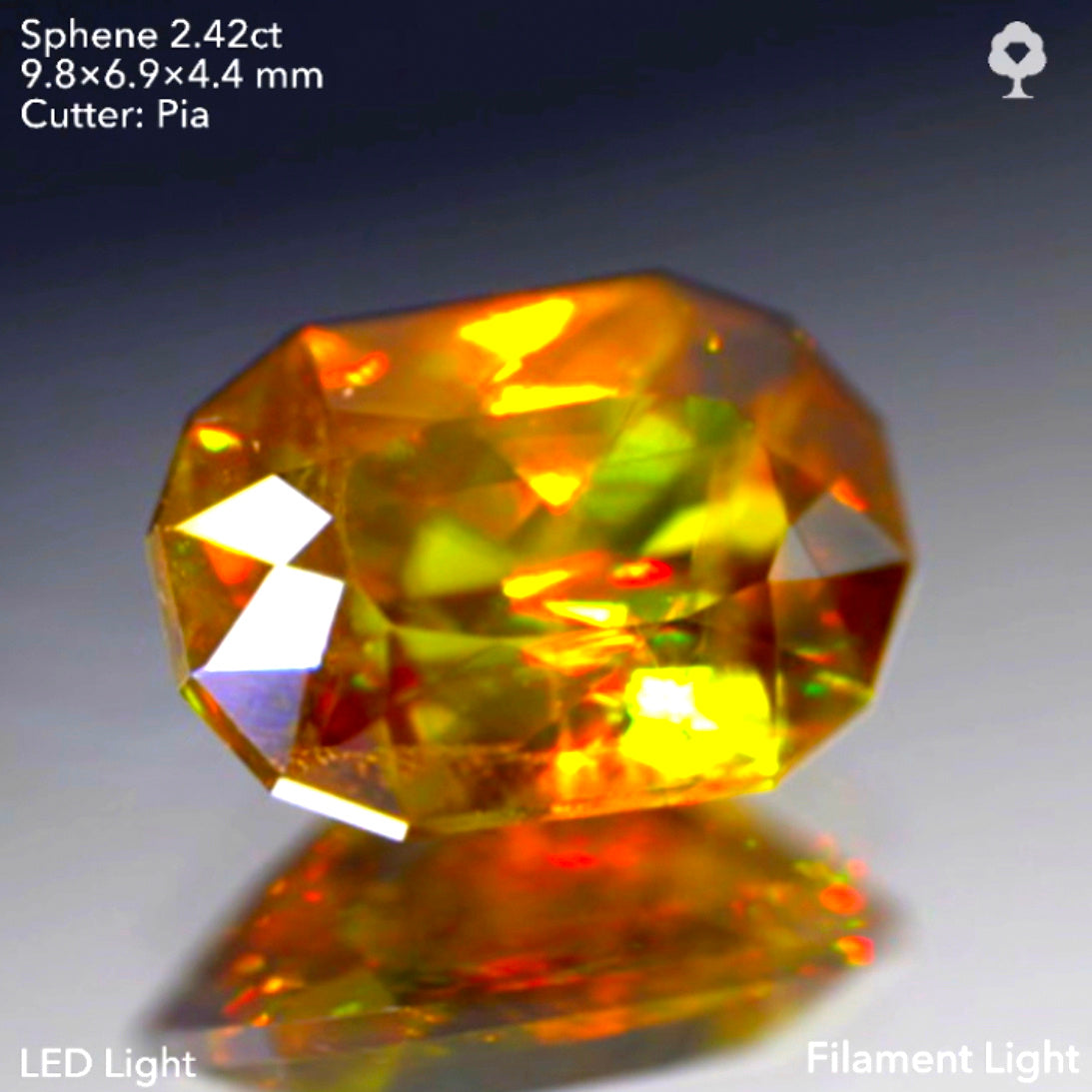 双晶ライン入り❣️マダガスカル産スフェーン2.42ct★ピアッちゃん作品【9/18ライブ】