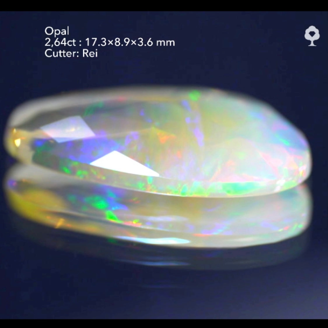 ※クレイジーラスト※ 水スタ 【5/10 19時 - 5/14 21時】バイカラーオパール 2.64ct