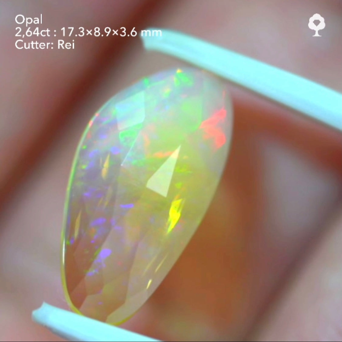 ※クレイジーラスト※ 水スタ 【5/10 19時 - 5/14 21時】バイカラーオパール 2.64ct