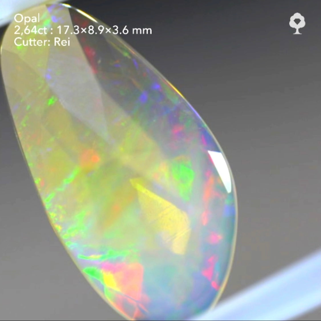 ※クレイジーラスト※ 水スタ 【5/10 19時 - 5/14 21時】バイカラーオパール 2.64ct