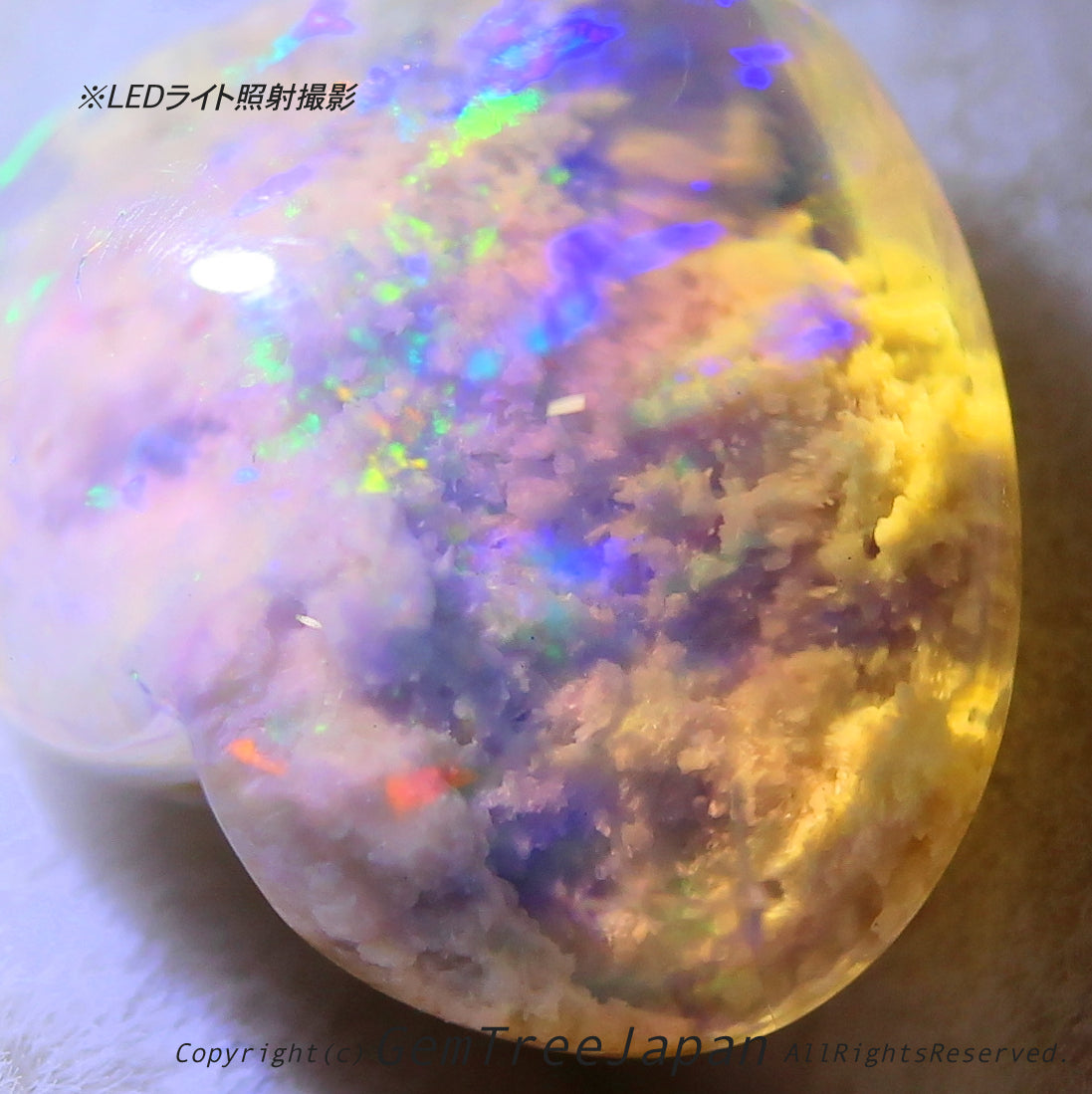 オパール博物館“超オモシロ”特別篇✨🌈オーストラリ産オパール2.99ct💎内部に広がる「モコモコ」がたまりません😍