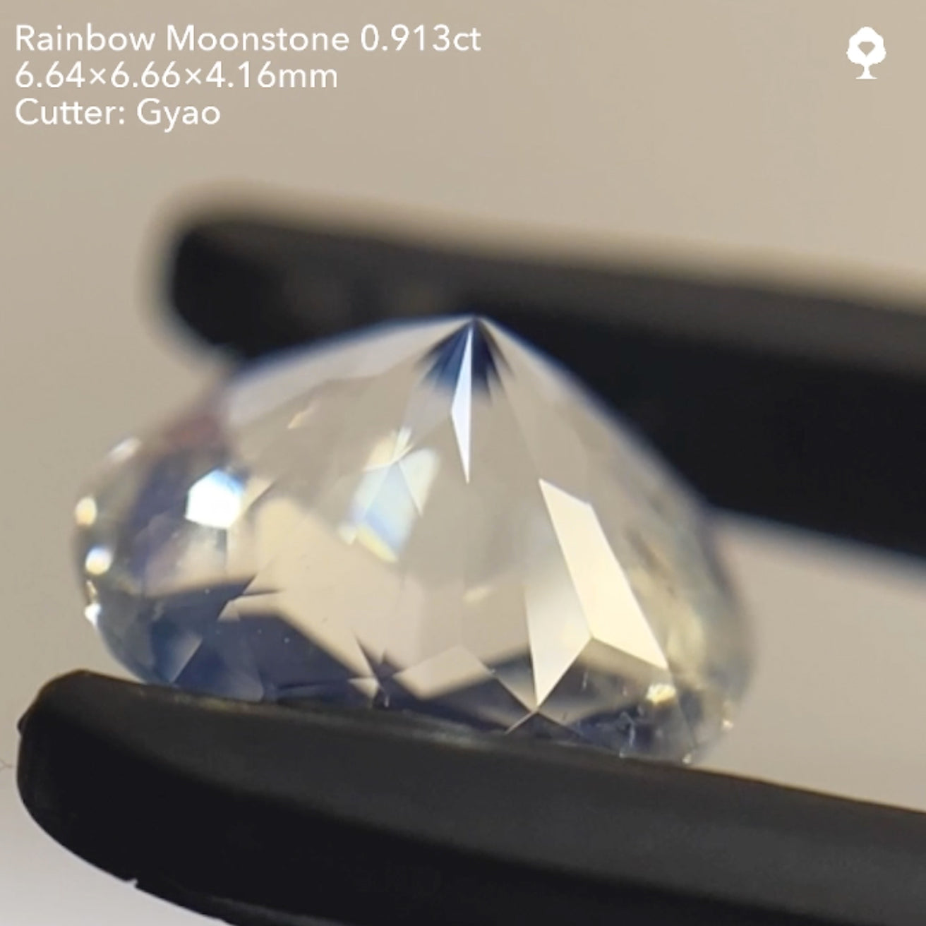 【SOLD OUT】ラウンドキューブスターレインボームーンストーン0.913ct/ゲオちゃん【両面キューブ】