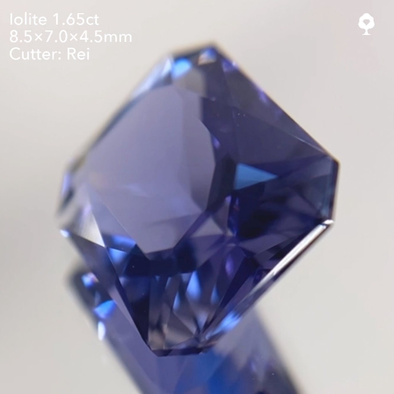 【SOLD OUT】アイオライト1.65ct/レイちゃん作品