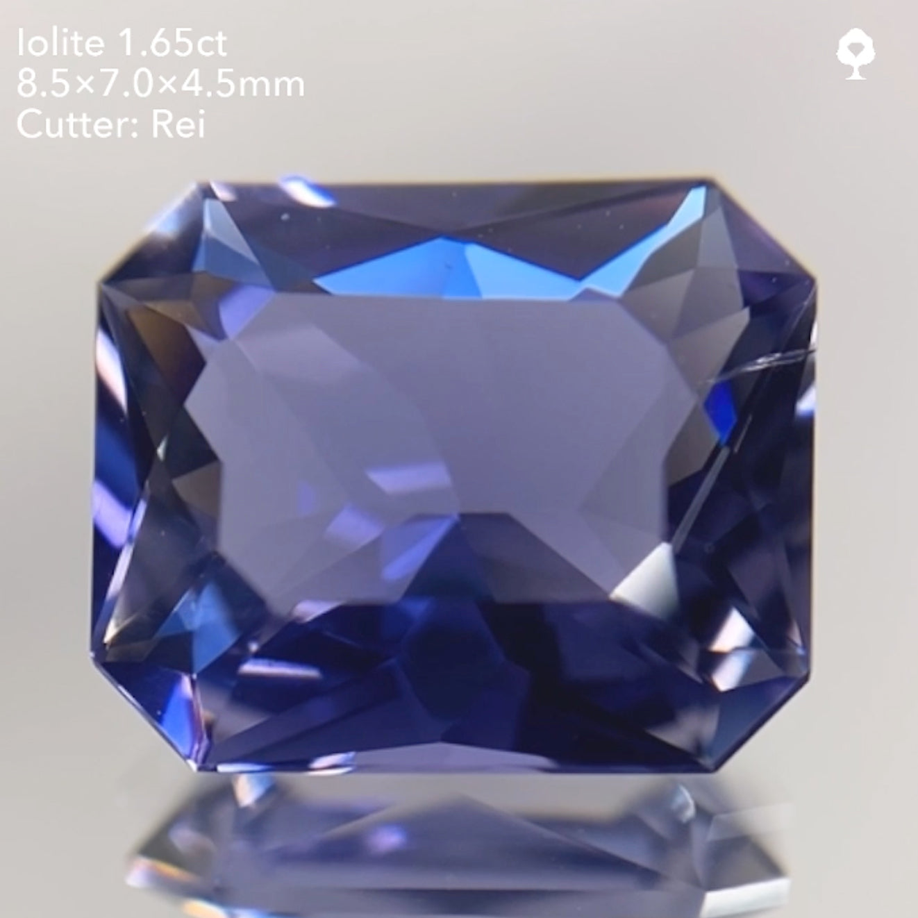 【SOLD OUT】アイオライト1.65ct/レイちゃん作品