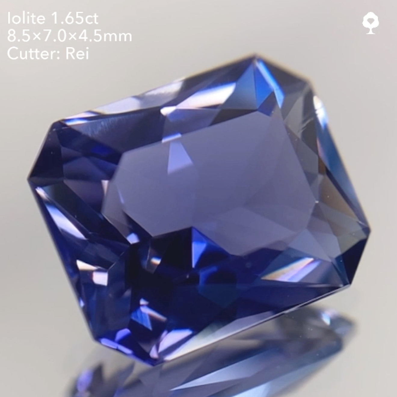 【SOLD OUT】アイオライト1.65ct/レイちゃん作品