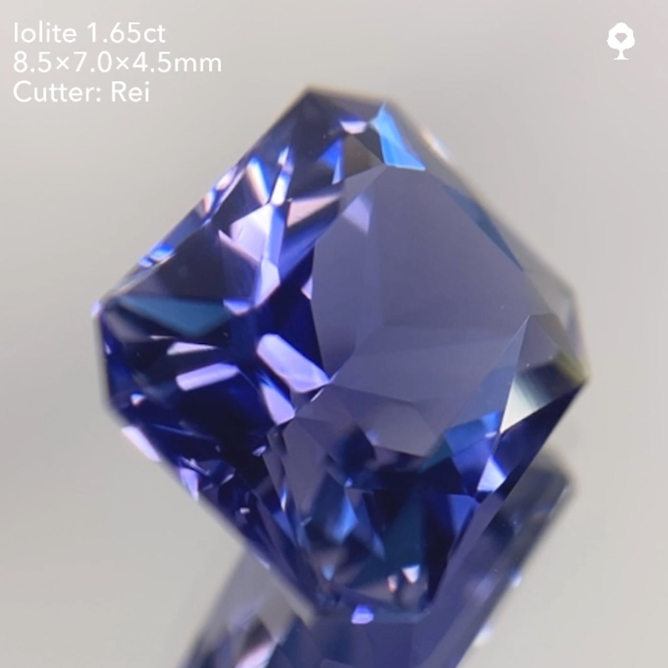 【SOLD OUT】アイオライト1.65ct/レイちゃん作品